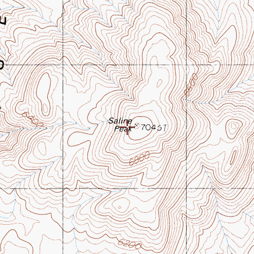 Topographic Map of Saline Peak, CA