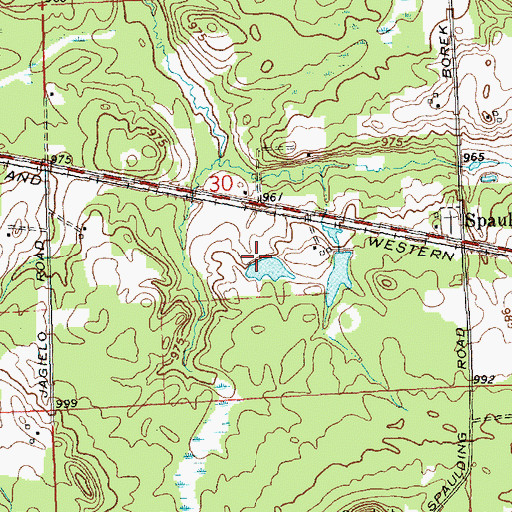 Topographic Map of Borek Cranberry Marsh, WI