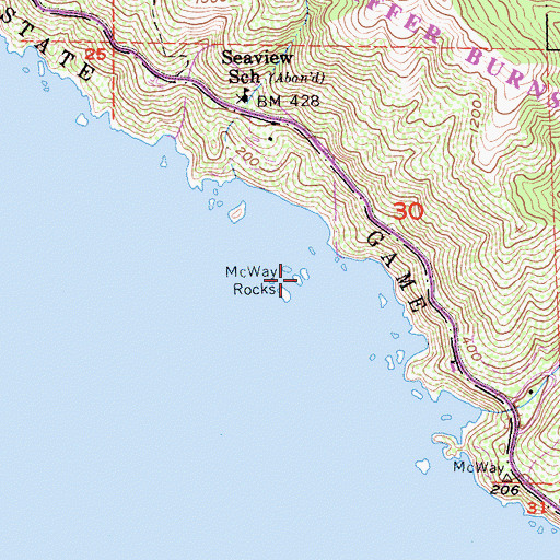 Topographic Map of McWay Rocks, CA