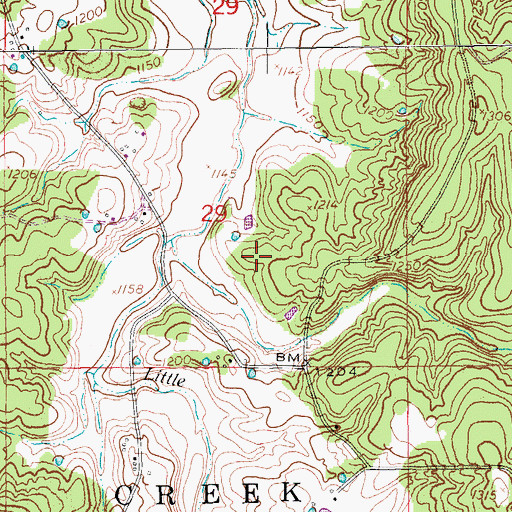Topographic Map of Reed Cemetery, MO