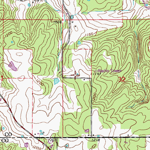 Topographic Map of Williams Cemetery, MO