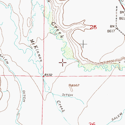 Topographic Map of Stevenson Ditch Number 4, CO