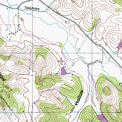 Topographic Map of Dragonfly Farm, TN