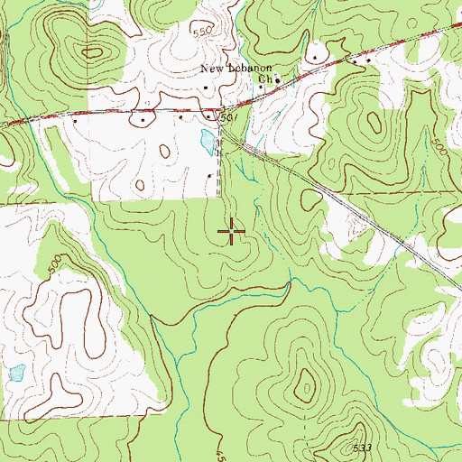 Topographic Map of Rowell Cemetery, GA