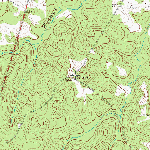 Topographic Map of McNiece Family Cemetery, GA