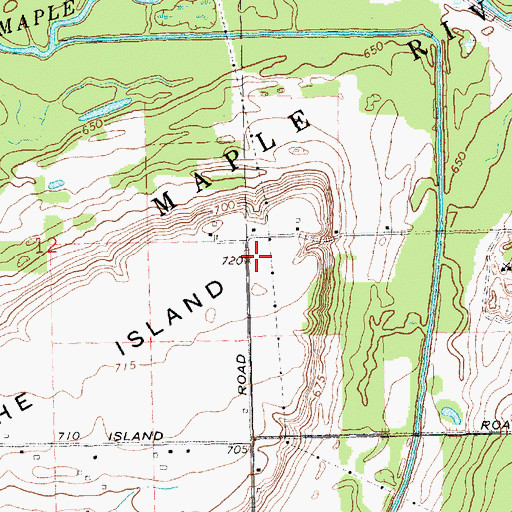 Topographic Map of Bancroft Farms, MI