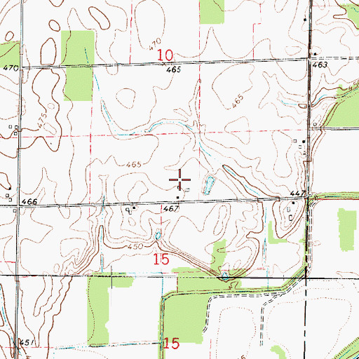 Topographic Map of York Livestock Farms, IL