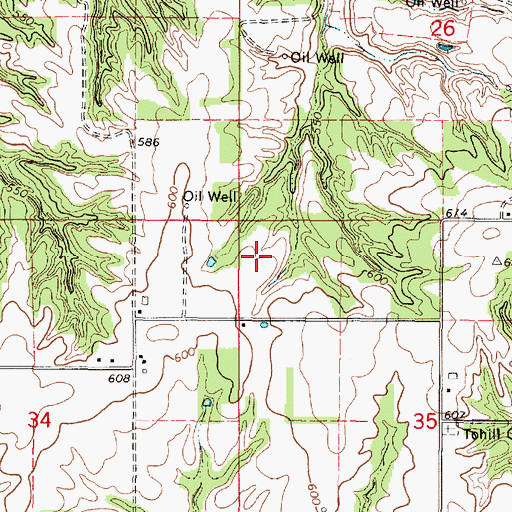 Topographic Map of Rich Pork Farm, IL