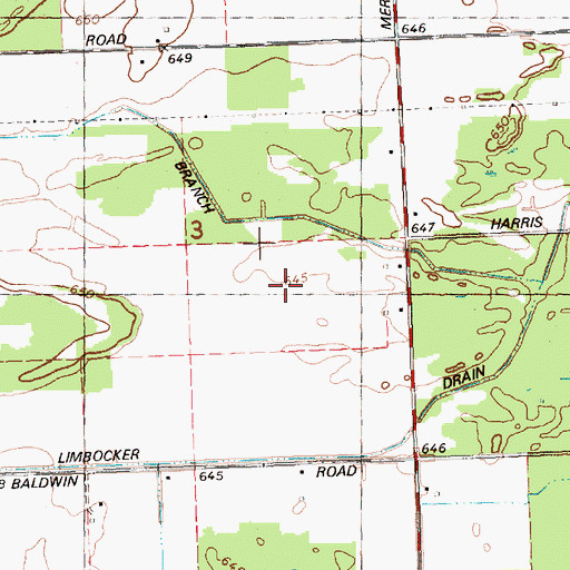 Topographic Map of Amman Farm, MI