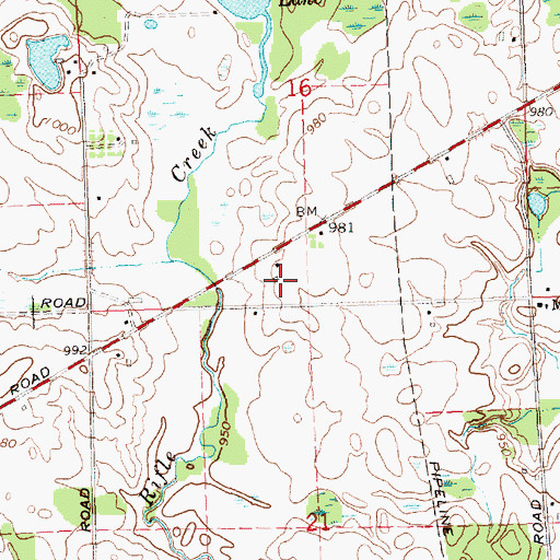 Topographic Map of Cedar Lane Farms, MI