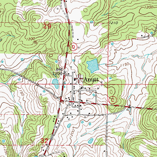 Topographic Map of Anutt Cemetery, MO