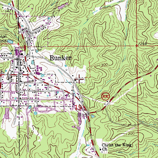 Topographic Map of Bunker Cemetery, MO