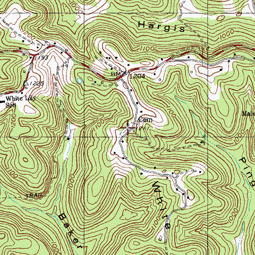 Topographic Map of White Lily Church Cemetery, KY