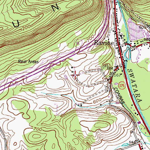 Topographic Map of Pine Grove Landfill, PA