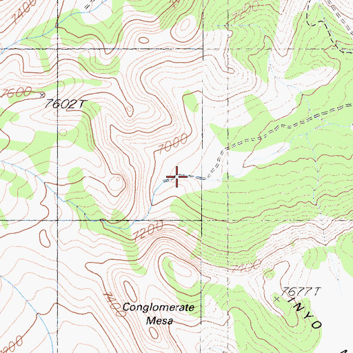Topographic Map of Conglomerate Double Arch, CA