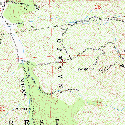 Topographic Map of Navajo, CA