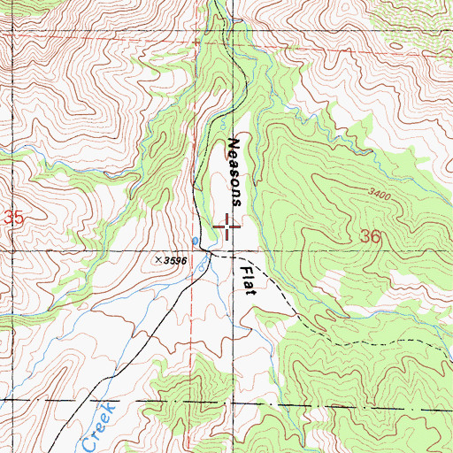 Topographic Map of Neasons Flat, CA