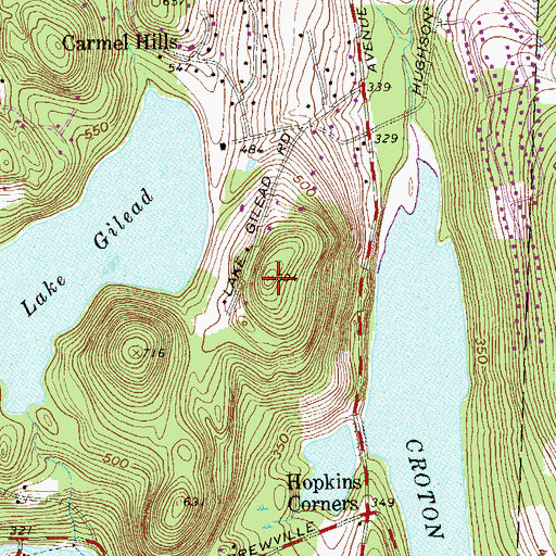 Topographic Map of Walts Hill, NY