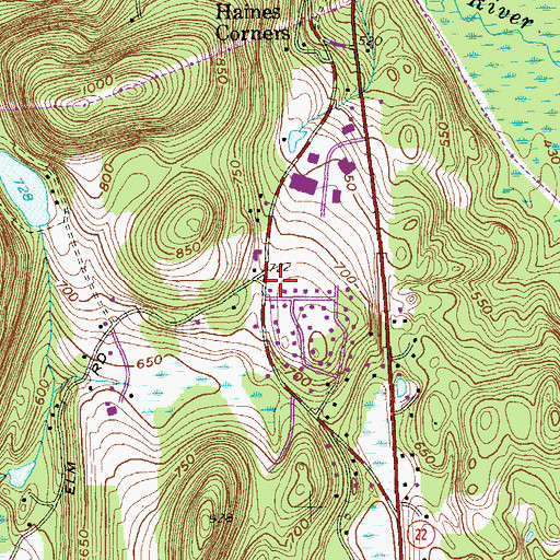 Topographic Map of Elm Tree Corner, NY