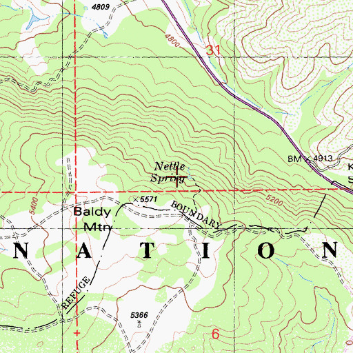 Topographic Map of Nettle Spring, CA