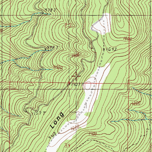 Topographic Map of Long Ridge, OR