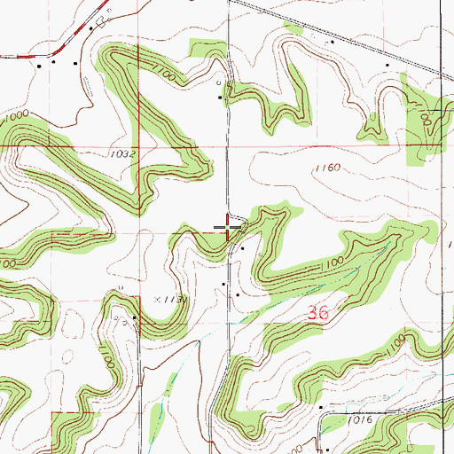Topographic Map of Radkey Farms, WI