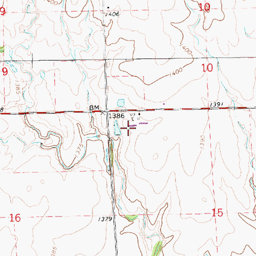 Topographic Map of Thome Turkey Farm, KS