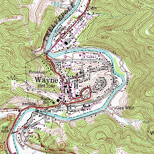 Topographic Map of Wayne Public Library, WV