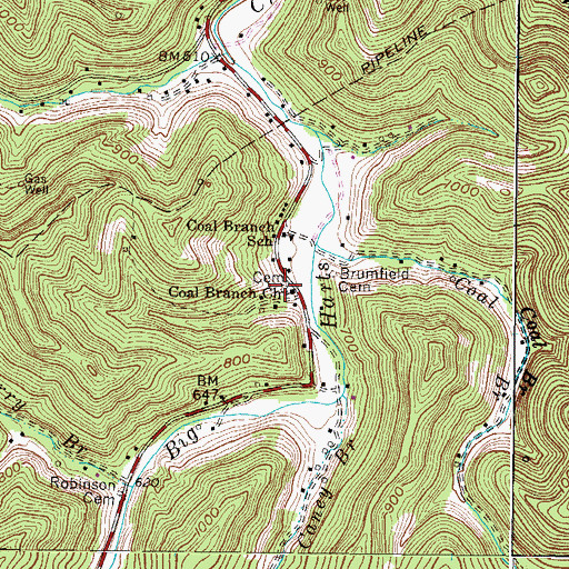 Topographic Map of Coal Branch Church Cemetery, WV
