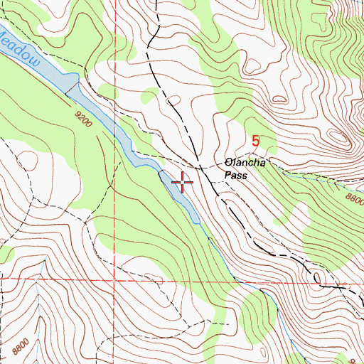 Topographic Map of Olancha Pass, CA