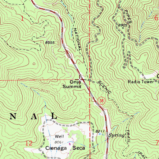 Topographic Map of Onyx Summit, CA
