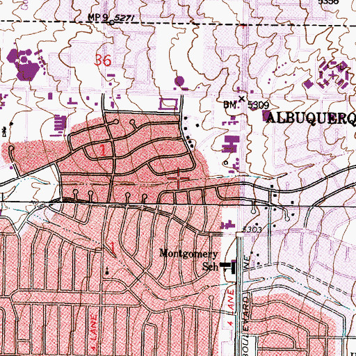 Topographic Map of North Hahn Arroyo, NM