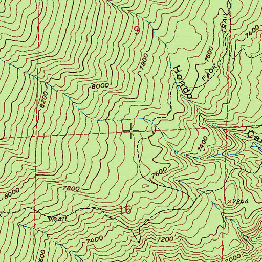 Topographic Map of CCC Trail, NM