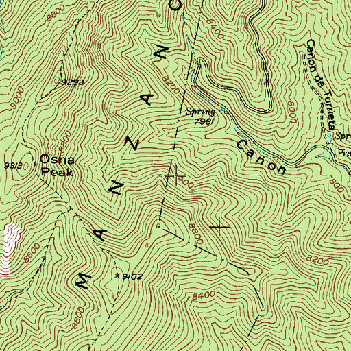 Topographic Map of New Canyon Trail, NM