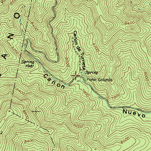 Topographic Map of New Canyon Trailhead, NM