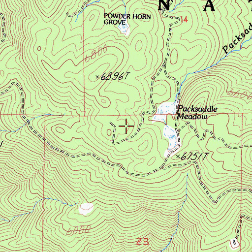 Topographic Map of Packsaddle Meadow, CA