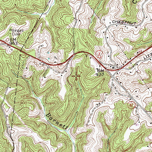 Topographic Map of Mount Flower Cemetery, WV