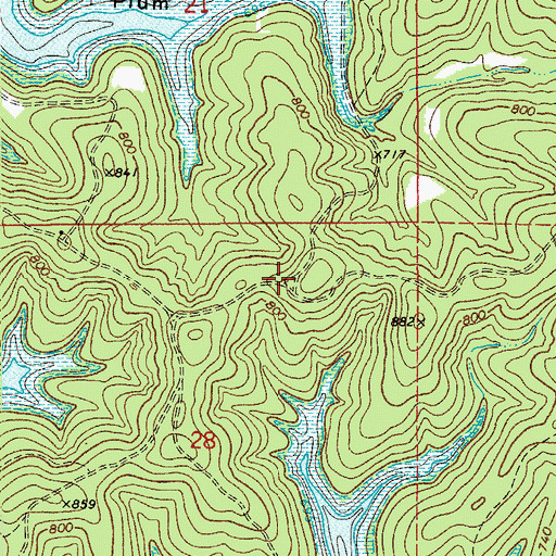 Topographic Map of Pine Branch, AR