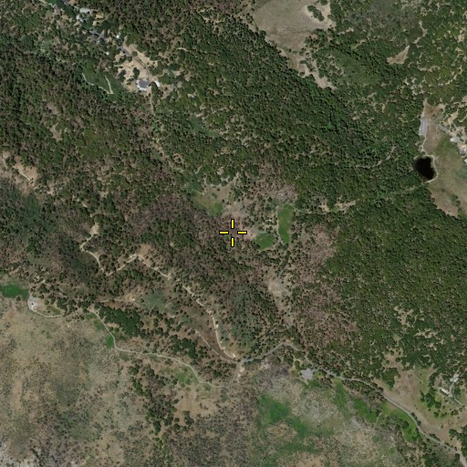 Aerial/Satellite Image of Palomar Mountain State Park, CA