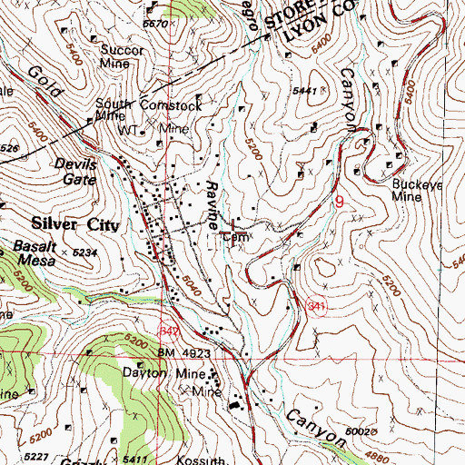Topographic Map of Silver City Census Designated Place, NV