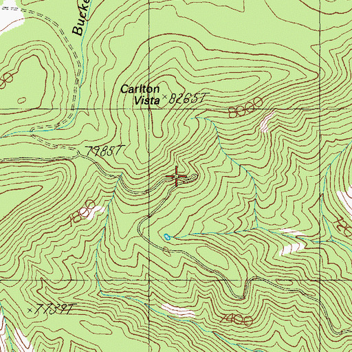 Topographic Map of Carlton Vista, AZ