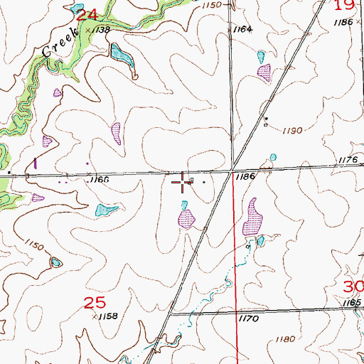 Topographic Map of Delong Feedlot, KS