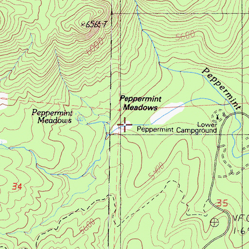 Topographic Map of Peppermint Meadows, CA