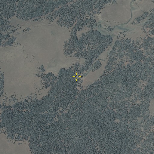 Aerial/Satellite Image of Carnero Spring, AZ