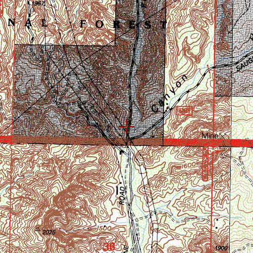 Topographic Map of Pettinger Canyon, CA