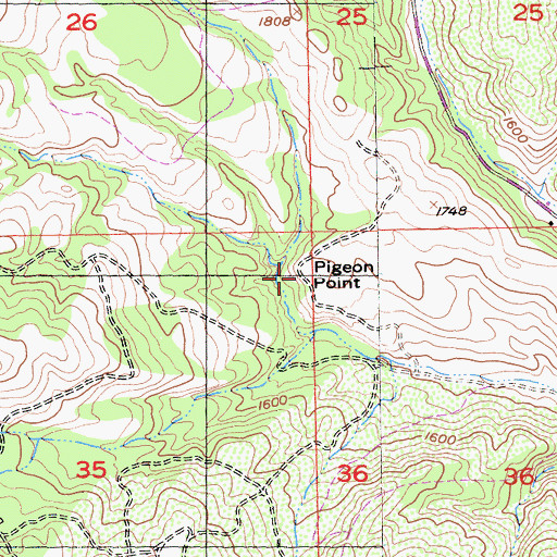Topographic Map of Pigeon Point, CA