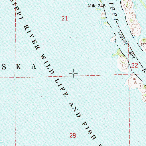 Topographic Map of Mallard Island, MN