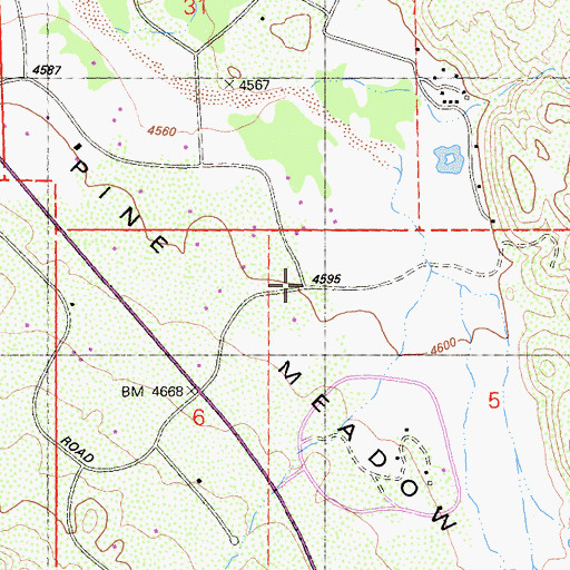 Topographic Map of Pine Meadow, CA