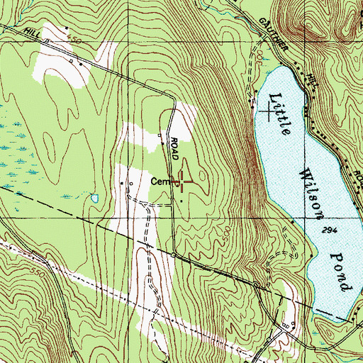 Topographic Map of Wilson Hill Cemetery, ME