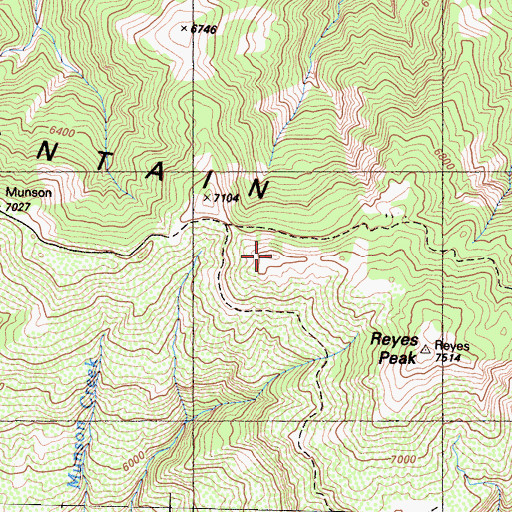 Topographic Map of Pine Mountain, CA